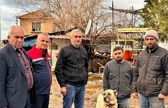 Söke Ovası’nda yağış sonrası zarar tespit çalışmaları