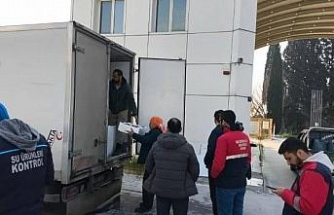 Aydın’da nakil belgesiz 290 kasa balığa el konuldu