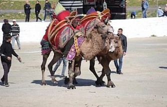 Başkan Kaya: "Bu yıl sezonun ilk güreşlerini yapmak bizlere nasip oldu"