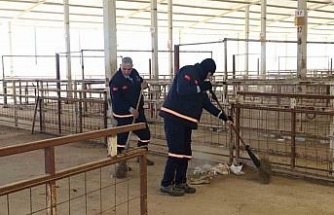 Nazilli Hayvan Pazarı 7 ay sonra yeniden açılıyor
