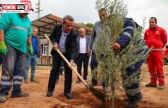 Başkan Yetişkin’den Efeler’e Yeşil Dokunuş
