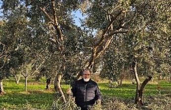 İncir ve Zeytin Bilimsel Araştırmalar Akademisi’nden yeni proje