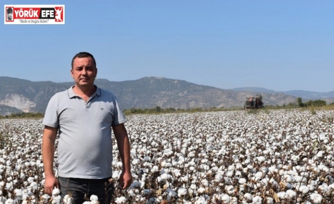 Başkan Çondur: “Fiyatlarla birlikte pamuk ekim alanları da arttı”