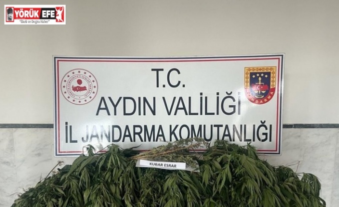 Aydın’da uyuşturucu ile mücadelede bir haftada 7 kişi tutuklandı