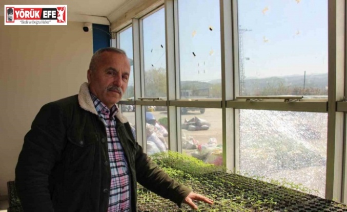Dedesinden kalma altın değerindeki ata tohumlarını gelecek nesillere aktarıyor