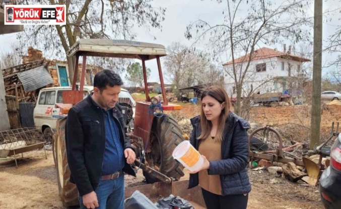 Karacasulu incir üreticilerine ekşilik böceği tuzakları dağıtıldı