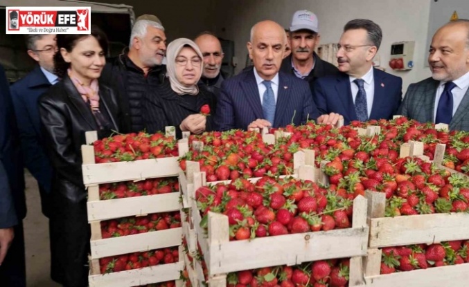 Tarım ve Orman Bakanı Kirişci: "Örtü altı sera alanı 811 bin dekara çıktı"