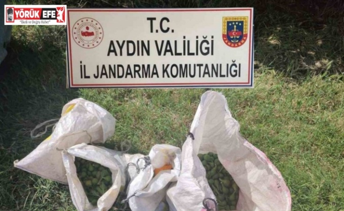 İğlek hırsızlarını jandarma yakaladı