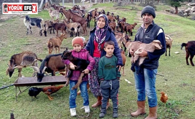 “Kavşit Köyü ve Yöresi Keçicilik Projesi” devam ediyor