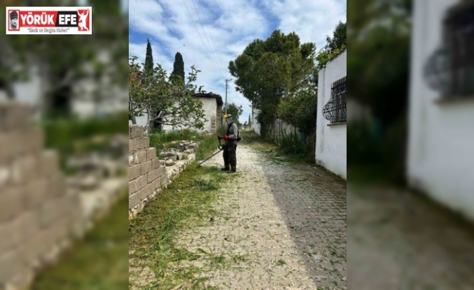 Belediye ekipleri Akköy’de otlara geçit vermiyor