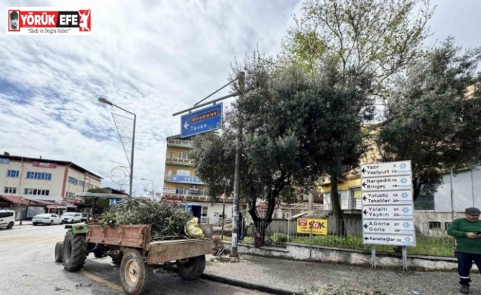 Karacasu’da çevre düzenlemesi devam ediyor