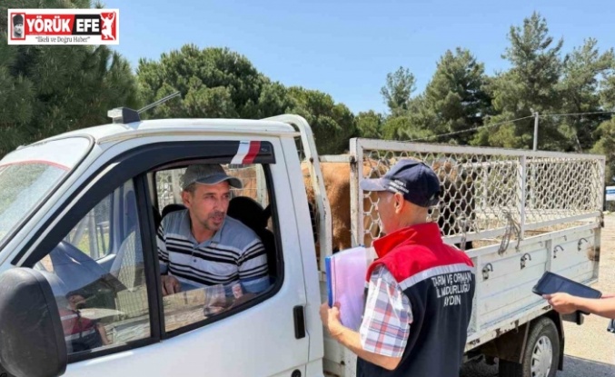 Koçarlı’da canlı hayvan nakil araçları denetlendi