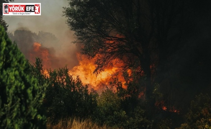 Aydın’da çiftçilere yangın uyarısı: Hasatta tedbirli olun