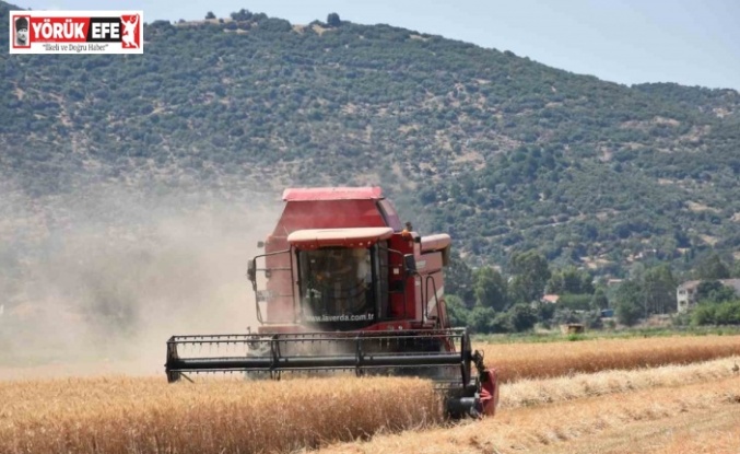 Çiftçilerden hayvan üreticilerine kritik uyarı: "Elinizi Çabuk Tutun"