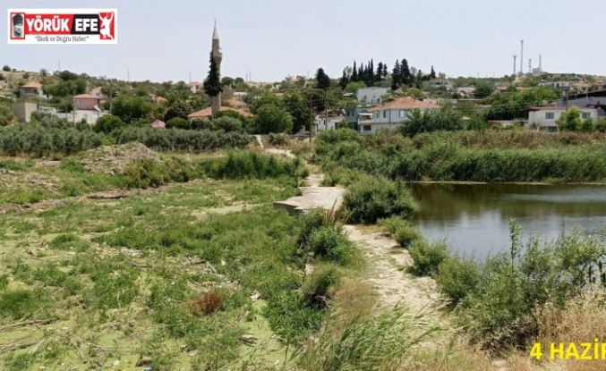 Tarihi köprüde sular yeşillendi, doğaseverler sorunlara dikkat çekti
