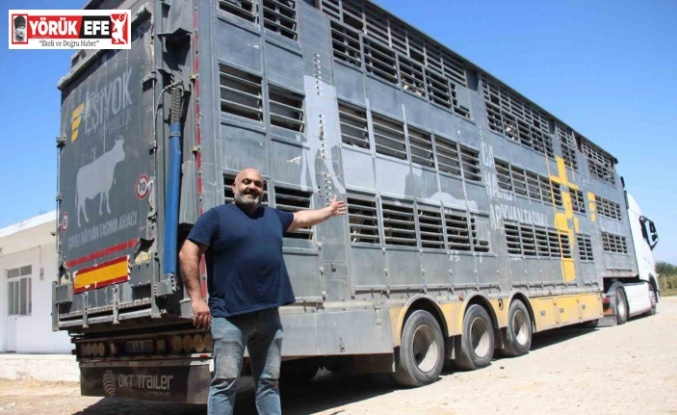 Türk mühendislerin tasarladığı bu araçla, canlı hayvan naklinde 5 yıldızlı konfor dönemi başladı
