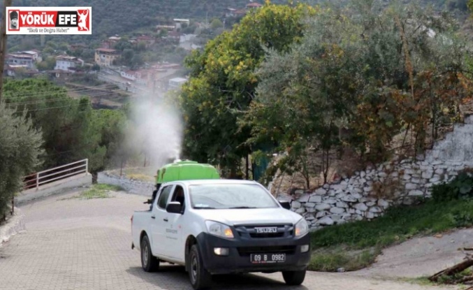 Bozdoğan’da karasinekle mücadele