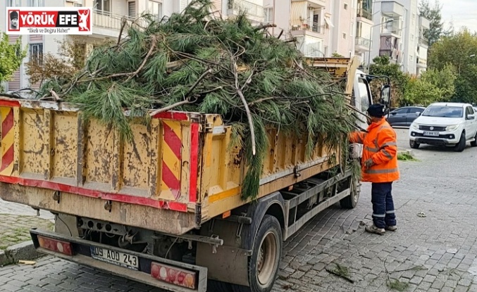 EFELER’İN EKİPLERİ ÇALIŞIYOR KENTİN YEŞİL ALANLARI PIRIL PIRIL OLUYOR