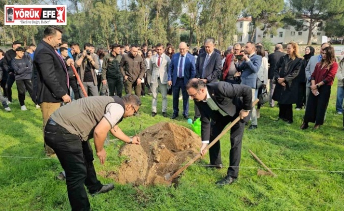 Sultanhisar’da fidanlar toprakla buluştu