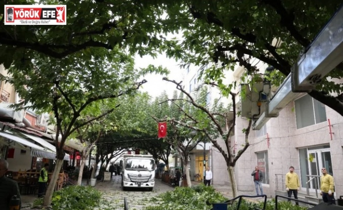 İncirliova Sevgi Yolu’ndaki ağaçlara bakım