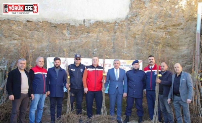 Köşklü üreticilere kestane fidanı dağıtıldı