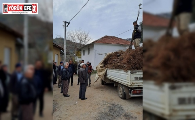 Köşk’te köklü kestane fidanları üreticilere dağıtıldı