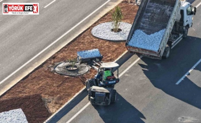 Aydın Büyükşehir Belediyesi’nden Acarlar-Şehir Hastanesi yolunda peyzaj düzenlemesi