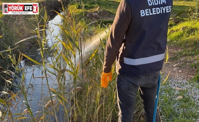DİDİM’DE HALK SAĞLIĞI İÇİN VEKTÖRLERE KARŞI ETKİN MÜCADELE