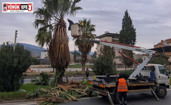 EFELER BELEDİYESİ’NDEN UMURLU KARAYOLU’NDA ÇALIŞMA