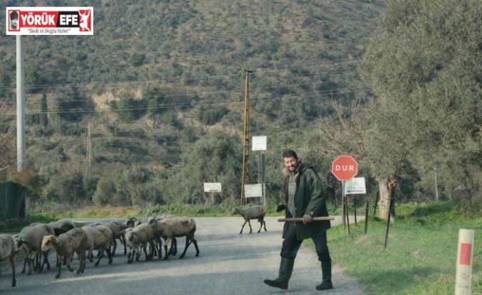 Havalar ısındı, sürüler doğaya salındı