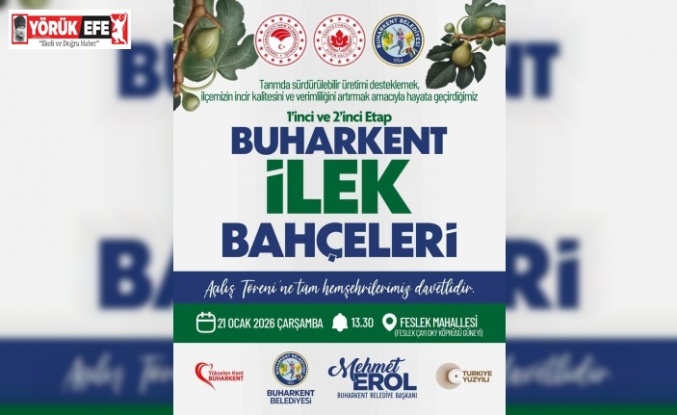 İncirde verim ve kalite için Buharkent’te örnek proje