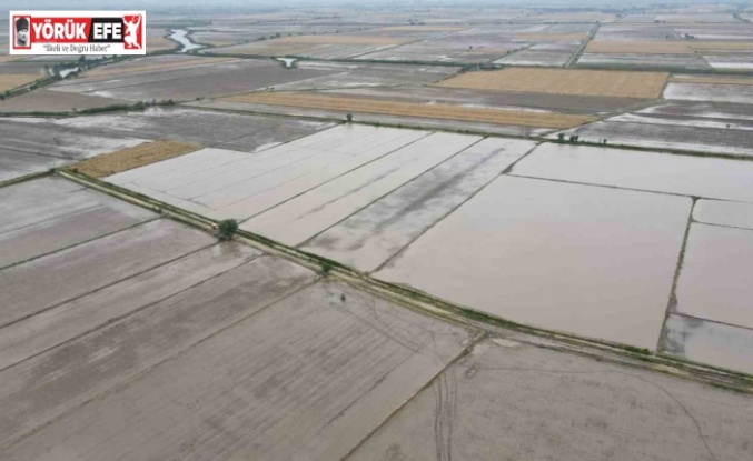 Söke’nin 2026 yılı ürün deseni belli oldu