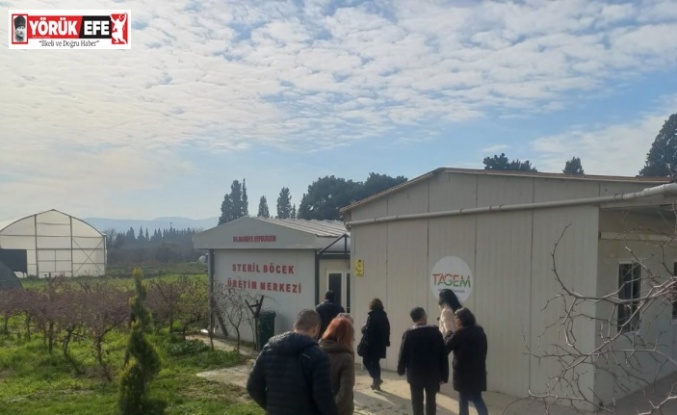 Tarım zararlılarıyla mücadelede 2026 yılı yol haritasının çizildi