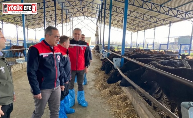 Devlet desteğiyle işini büyüten işletmeler incelendi