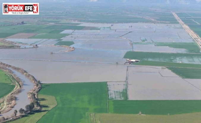 Menderes taştı, yüzlerce dönüm sular altında kaldı