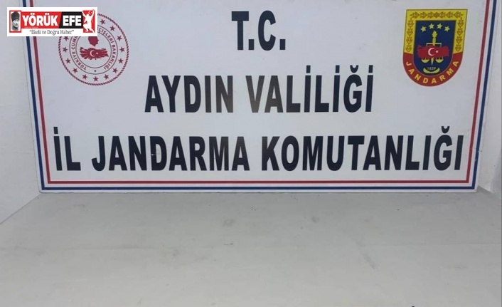 Jandarma şüphelendi, araçtan silah ve uyuşturucu çıktı