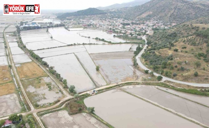 Sel, tarlaları sular altında bıraktı