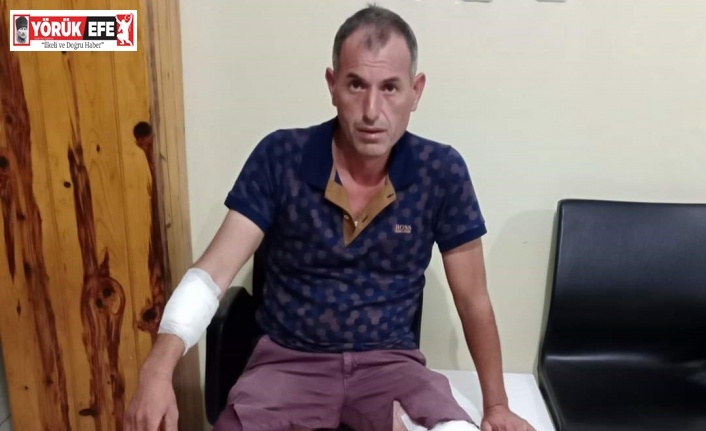 Sokak köpeklerinin saldırısına uğrayan Ersoy isyan etti