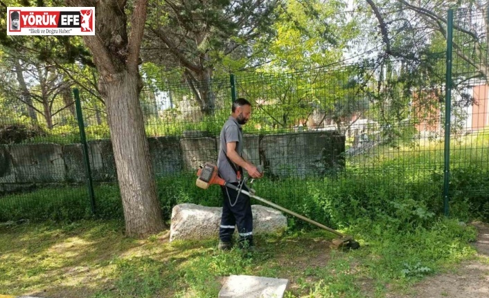 Afrodisias Antik Kenti’nde ilaçlama çalışması başlatıldı