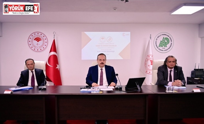 Aydın’da Hayvan Hakları Kurulu Toplantısı yapıldı