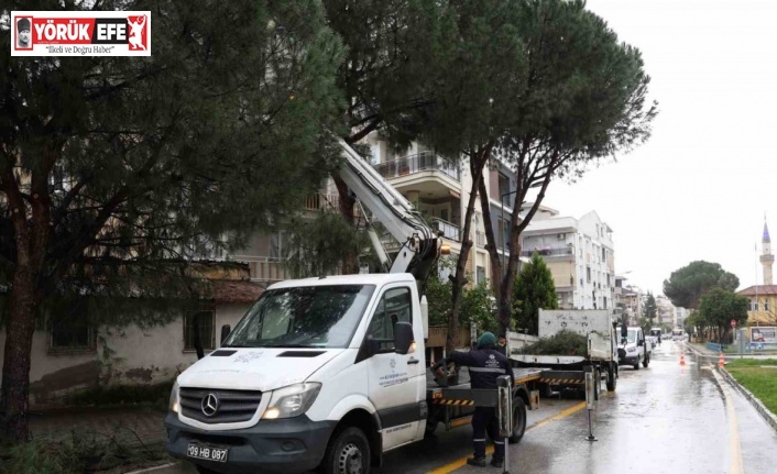 Aydın Büyükşehir Belediyesi’nden Efeler’in yeşil alanlarına bakım