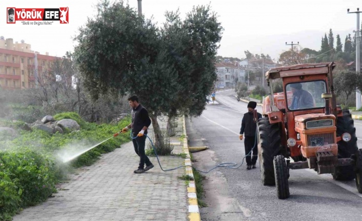 Bozdoğan’da yabani ot mücadelesi