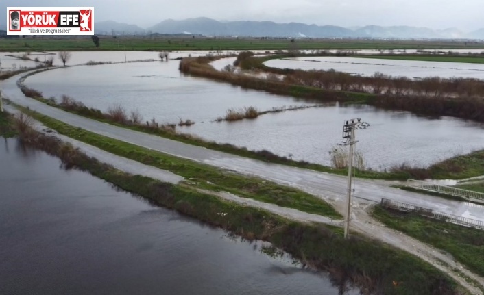Büyük Menderes nehrindeki taşkın karayolunu kapattı