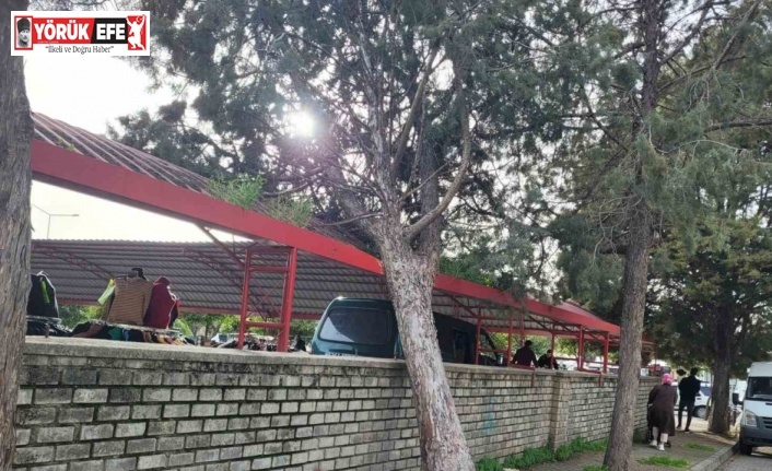 Efekent Pazaryeri’nde rüzgar ağacı devirdi
