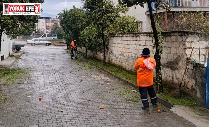 EFELER BELEDİYESİ’NDEN UMURLU’YA  KAPSAMLI TEMİZLİK VE BAKIM ÇALIŞMASI