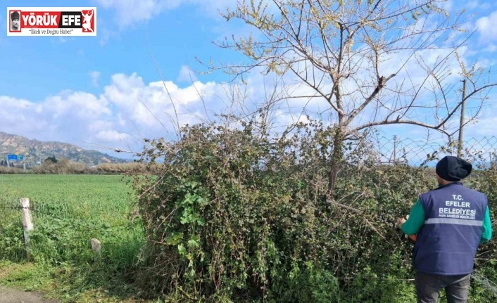 Efeler’in yeşil alanlarında temizlik çalışması sürüyor