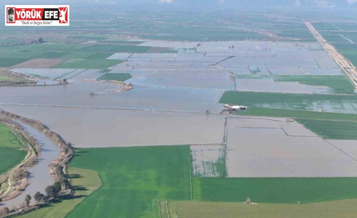 Menderes taştı, yüzlerce dönüm sular altında kaldı