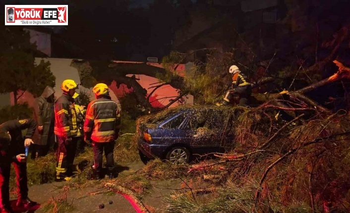 Önce duvarı yıktı sonra otomobilin üzerine devrildi: 2 yaralı