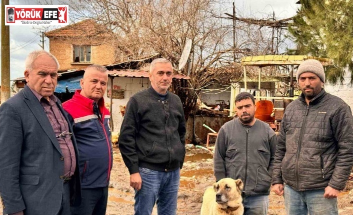 Söke Ovası’nda yağış sonrası zarar tespit çalışmaları