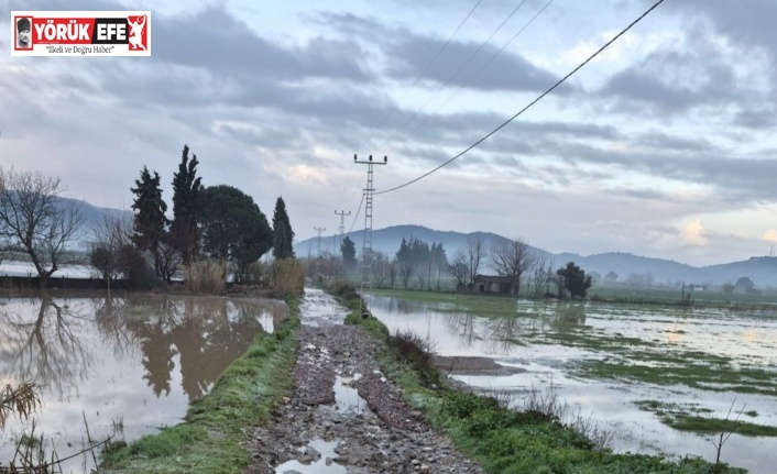 Söke’de aşırı yağışlar sonrası tarım alanlarında hasar tespiti